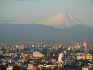 今年の初富士山